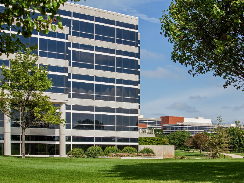 Commercial Lawn Services