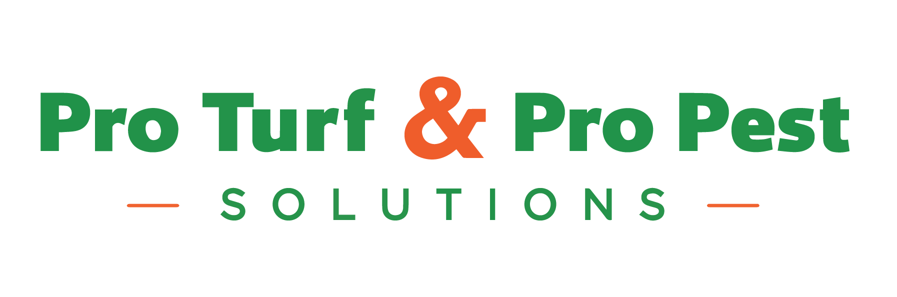 PNG__PT_PP_Solutions_Secondary_Logo-1