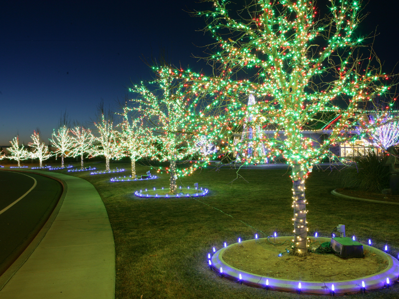 Commercial holiday lighting on trees, walkways and landscapes