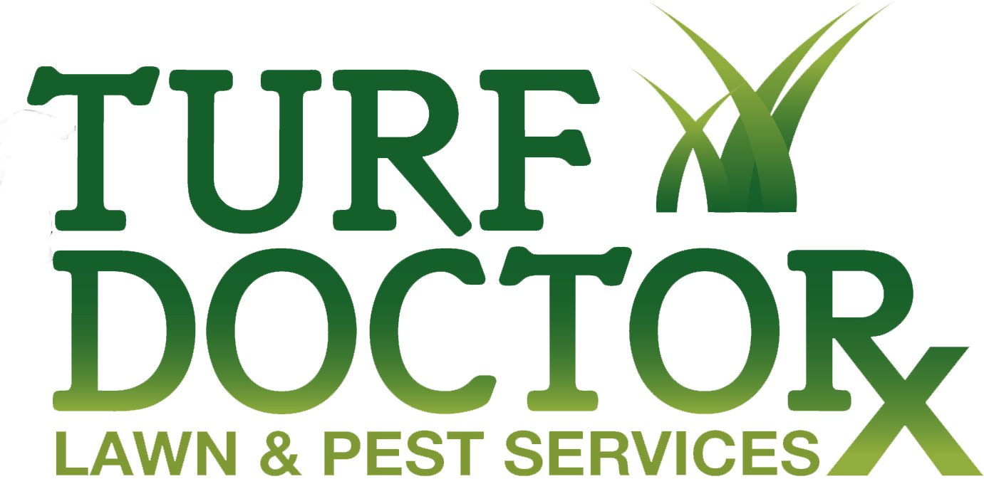 turfdoctor_logo_nodoctor